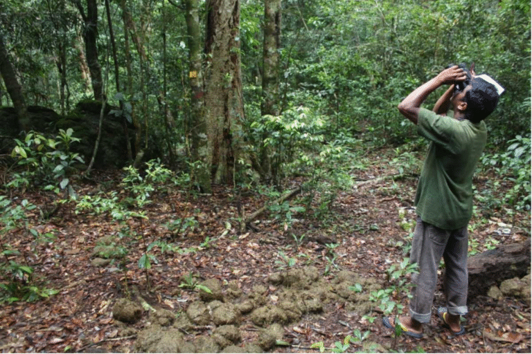 Ensuring Long-Term Biodiversity Monitoring with the CBD’s Essential Biodiversity Variables (EBVs)