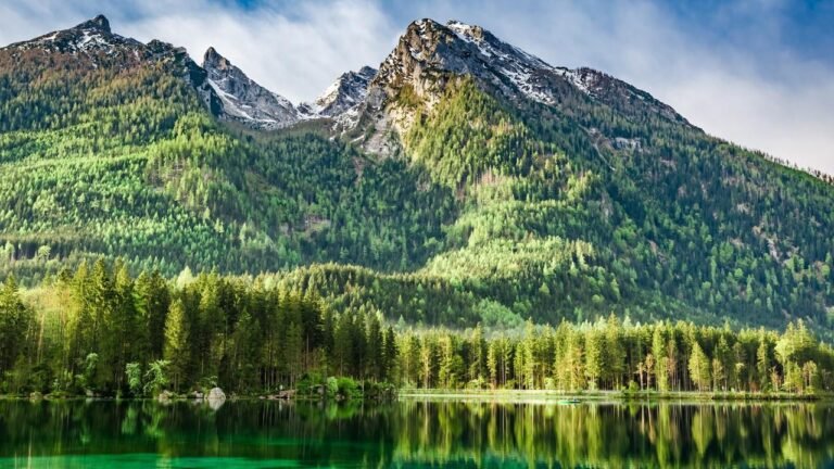 Safeguarding Natural Capital with the Natural Capital Protocol (NCP)